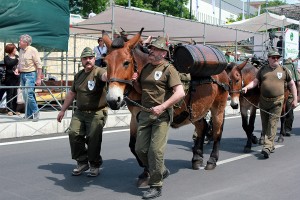 15-18 maggio 2015 Adunata Nazionale L'Aquila